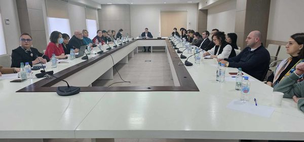 მთავრობის ადმინისტრაციაში შეზღუდული შესაძლებლობის მქონე პირთა უფლებების კონვენციის იმპლემენტაციის უწყებათაშორისი საკოორდინაციო საბჭოს ინკლუზიური განათლების თემატური სამუშაო ჯგუფის წევრებთან შეხვედრა გაიმართა